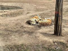 -西安秦岭野生动物园