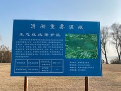 -漕湖湿地公园