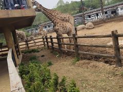 -大连森林动物园