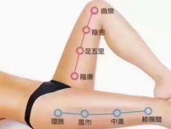 -香薇妮丝·定制减肥·身材管理