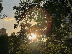 -陆家嘴中心绿地