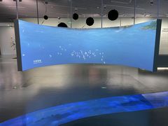 -上海城市规划展示馆