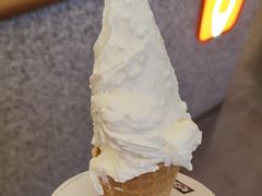 -野人先生Gelato(上海长宁龙之梦店)