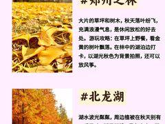 -河南省黄河迎宾馆
