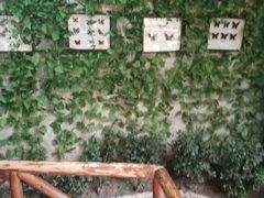 -上海昆虫博物馆