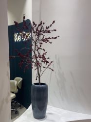 -KeCare科颜精准护肤