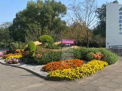 -上海滨江森林公园