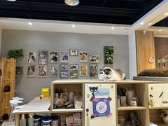 -藏猫猫咖啡主题馆(中央大道店)
