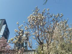 -张家湾公园