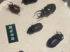 -陕西自然博物馆