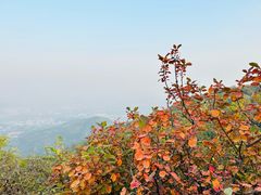 -香山公园