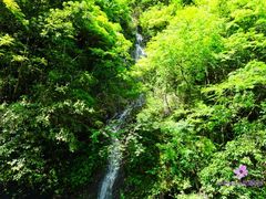 -石台牯牛降景区