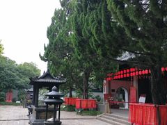 -秋霞圃