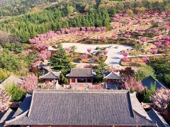 -石岛赤山风景区