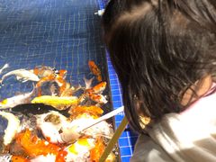 -昆明大悦城未来动物城(螺蛳湾中心店)
