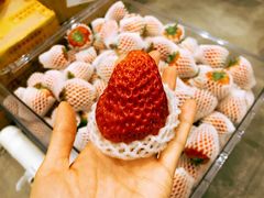 -菜园坝水果市场