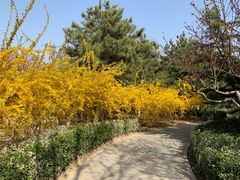 -大兴滨河森林公园