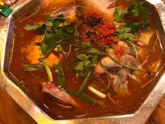 -老凯俚酸汤鱼(鸿通城店)