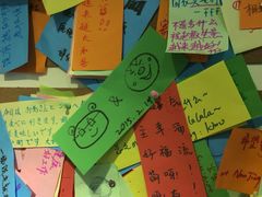 -志龙皇冠吃货椰子铺