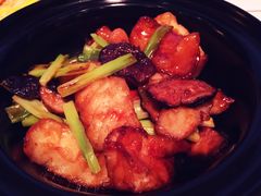 -金轩中餐厅 Jin Xuan(浦东丽思卡尔顿酒店)