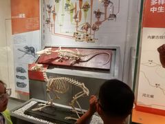 -国家自然博物馆