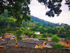 -杨家堂村