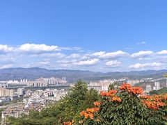 -西双版纳勐泐文化旅游区