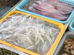 -大湾区中央湿地公园-十九涌