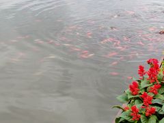 -黑龙潭公园