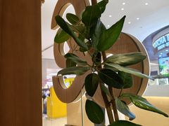 -gaga(深圳福田星河COCO Park店)