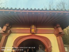 -洛阳古墓博物馆