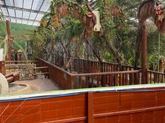 -呀路古热带植物园