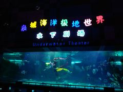 -泉城欧乐堡海洋极地世界