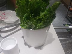 -古乐牛香·鲜牛肉牛杂火锅(新区店)