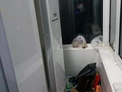 -天津啄木鸟数码维修