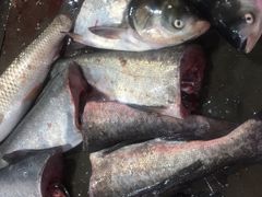 -鑫朱雀农贸批发市场