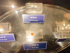 -中国地质大学逸夫博物馆