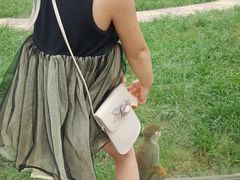 -石家庄市动物园