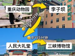 -观音桥步行街