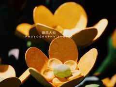 -Nathalie Djurberg与Hans Berg“牛皮纸包裹的月亮”-Prada荣宅当季展览