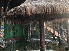 -呀路古热带植物园