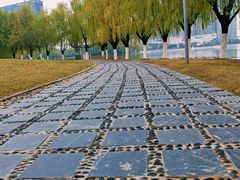 -天鹅湖体育公园