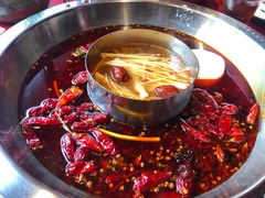 -谭鸭血老火锅(漳州路店)