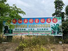 -荔枝红五号农庄