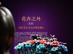 -德基艺术博物馆