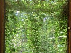 -谷咖啡·鲜花绿植花园餐厅
