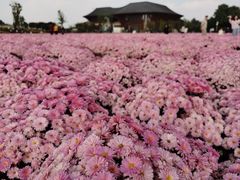 -中国天府农业博览园