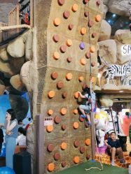 -卡通尼·Safari非洲探索乐园·生日会(金桥国际商业广场店)