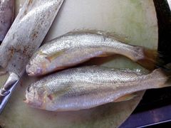 android_upload_pic-沈家门海鲜夜排档(东港店)