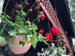 -寂照庵